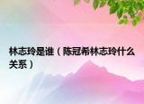 林志玲是谁（陈冠希林志玲什么关系）
