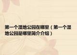 第一个湿地公园在哪里（第一个湿地公园是哪里简介介绍）