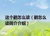 这个鹳怎么读（鹳怎么读简介介绍）
