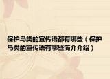 保护鸟类的宣传语都有哪些（保护鸟类的宣传语有哪些简介介绍）