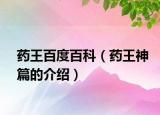 药王百度百科（药王神篇的介绍）