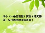 冰心《一朵白蔷薇》赏析（课文诗词一朵白蔷薇的阅读答案）