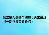 笑里藏刀是哪个动物（笑里藏刀打一动物是简介介绍）