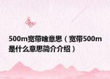 500m宽带啥意思（宽带500m是什么意思简介介绍）