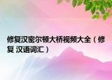 修复汉密尔顿大桥视频大全（修复 汉语词汇）