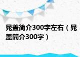 晁盖简介300字左右（晁盖简介300字）