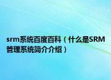 srm系统百度百科（什么是SRM管理系统简介介绍）