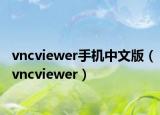 vncviewer手机中文版（vncviewer）