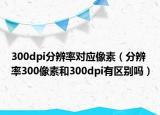 300dpi分辨率对应像素（分辨率300像素和300dpi有区别吗）