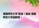 湖南师范大学 陈波（杨波 湖南师范大学副教授）