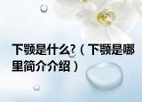 下颚是什么?（下颚是哪里简介介绍）