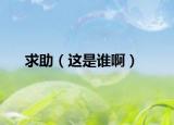 求助（这是谁啊）
