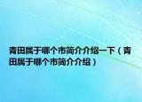 青田属于哪个市简介介绍一下（青田属于哪个市简介介绍）