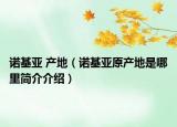 诺基亚 产地（诺基亚原产地是哪里简介介绍）