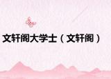 文轩阁大学士（文轩阁）