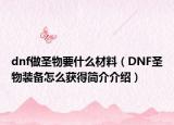 dnf做圣物要什么材料（DNF圣物装备怎么获得简介介绍）