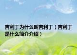 吉利丁为什么叫吉利丁（吉利丁是什么简介介绍）