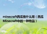 minecraft西瓜有什么用（西瓜 Minecraft中的一种物品）