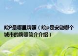 皖P是哪里牌照（皖p是安徽哪个城市的牌照简介介绍）