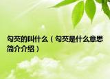 勾芡的叫什么（勾芡是什么意思简介介绍）