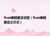 float单精度浮点型（float单精度定义方式）