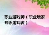 职业游戏师（职业玩家 专职游戏者）