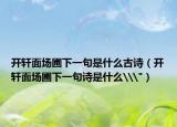 开轩面场圃下一句是什么古诗（开轩面场圃下一句诗是什么\