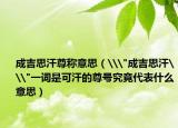 成吉思汗尊称意思（\