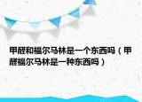 甲醛和福尔马林是一个东西吗（甲醛福尔马林是一种东西吗）