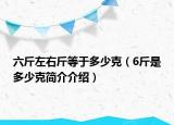 六斤左右斤等于多少克（6斤是多少克简介介绍）
