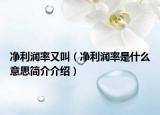 净利润率又叫（净利润率是什么意思简介介绍）