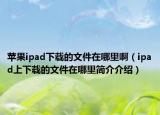 苹果ipad下载的文件在哪里啊（ipad上下载的文件在哪里简介介绍）