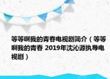 等等啊我的青春电视剧简介（等等啊我的青春 2019年沈沁源执导电视剧）