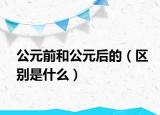 公元前和公元后的（区别是什么）