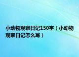 小动物观察日记150字（小动物观察日记怎么写）