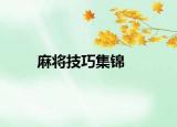 麻将技巧集锦