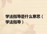 学法指导是什么意思（学法指导）