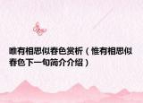 唯有相思似春色赏析（惟有相思似春色下一句简介介绍）
