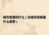 城市发展叫什么（去城市发展是什么意思）