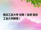 西北工业大学 刘勇（张勇 西北工业大学教授）