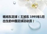 杨旭东足球（王旭东 1995年1月出生的中国足球运动员）