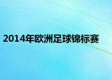 2014年欧洲足球锦标赛