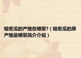 哈密瓜的产地在哪里?（哈密瓜的原产地是哪里简介介绍）