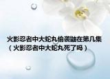 火影忍者中大蛇丸偷袭鼬在第几集（火影忍者中大蛇丸死了吗）