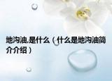 地沟油,是什么（什么是地沟油简介介绍）