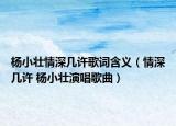 杨小壮情深几许歌词含义（情深几许 杨小壮演唱歌曲）