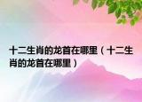 十二生肖的龙首在哪里（十二生肖的龙首在哪里）