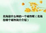 北海是什么样的一个城市呢（北海在哪个城市简介介绍）
