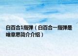 白百合1指弹（白百合一指弹是啥意思简介介绍）
