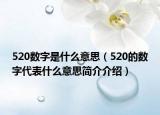 520数字是什么意思（520的数字代表什么意思简介介绍）